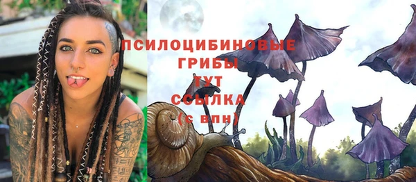 круглые Аркадак