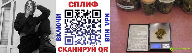Бошки марихуана тримм  Новошахтинск 